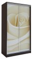 Шкаф-купе Виват 2-х дверный с фотопечатью 1200/600