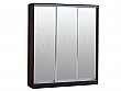 Шкаф-купе Виват 3-х дверный с 3 зеркалами 1770/400