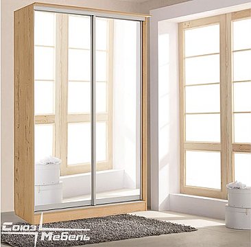 Шкаф-купе Светлана 2-х створчатый СМ